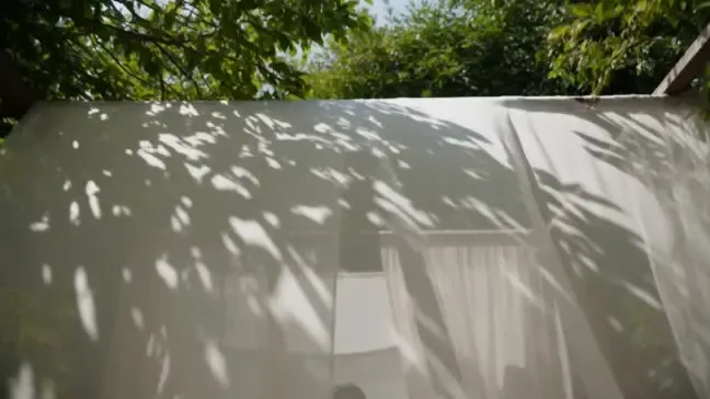 Sunlight and leaf shadows on a wall