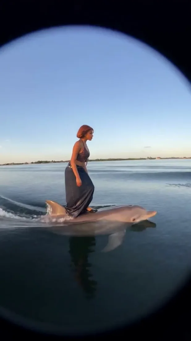 Creative scene from a project video